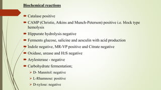 Biochemical reactions
 Catalase positive
 CAMP (Christie, Atkins and Munch-Peterson) positive i.e. block type
hemolysis
 Hippurate hydrolysis negative
 Ferments glucose, salicine and aesculin with acid production
 Indole negative, MR-VP positive and Citrate negative
 Oxidase, urease and H2S negative
 Arylesterase - negative
 Carbohydrate fermentation;
 D- Mannitol: negative
 L-Rhamnose: positive
 D-xylose: negative
 