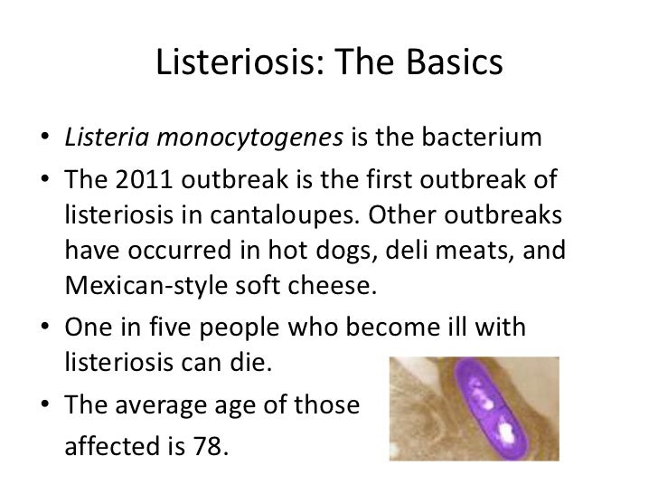 Can Dogs Be Affected By Listeria Can Dogs Be Affected By Listeria