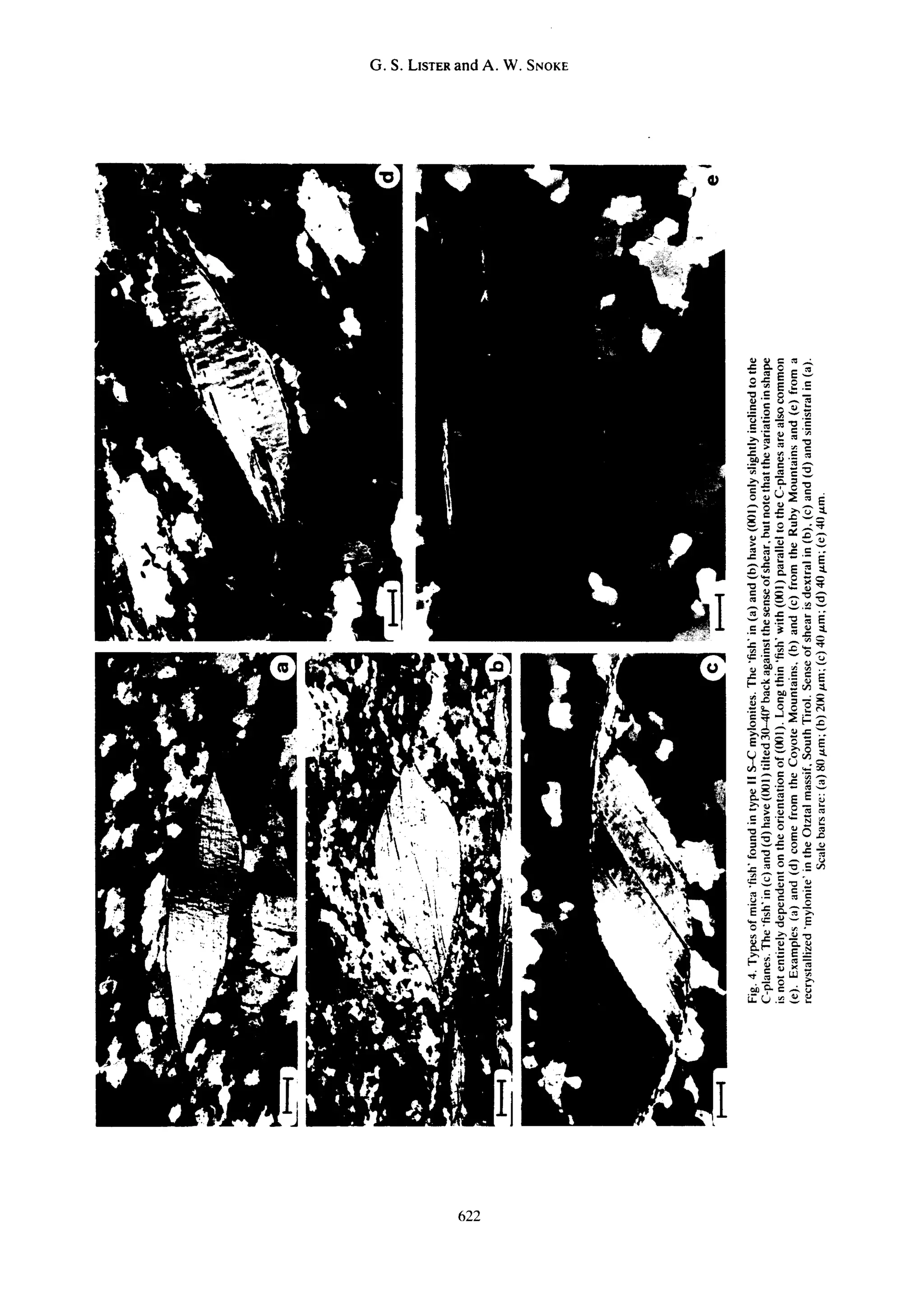 G. S. L~STEgand A. W. SNOKE




                                 .~_ ~
                                  •~ .'~ .~ "=
                              -~,.~ .~ ~.~
                              .-~.= ~ "~,




                                 ~ -~ ~ .= .°




                              ._=~ ~ . ~


                              ~-~: ~




                                         u~
                              ",. ~ ~ ' . ~ _ ~


                              -~ ~.~¢




           622
 