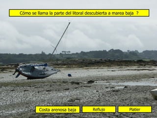 Cómo se llama la parte del litoral descubierta a marea baja ?




         Costa arenosa baja          Reflujo            Platier
 