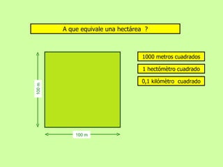 A que equivale una hectárea ?



                                   1000 metros cuadrados

                                   1 hectómètro cuadrado

                                   0,1 kilómètro cuadrado
100 m




            100 m
 