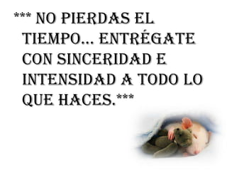 *** NO PIERDAS EL
 TIEMPO… ENTRÉGATE
 CON SINCERIDAD E
 INTENSIDAD A TODO LO
 QUE HACES.***
 