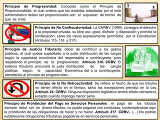 Listo 08 08 laminas derecho tributario | PPTX