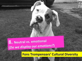Fons Trompenaars’ Cultural Diversity
