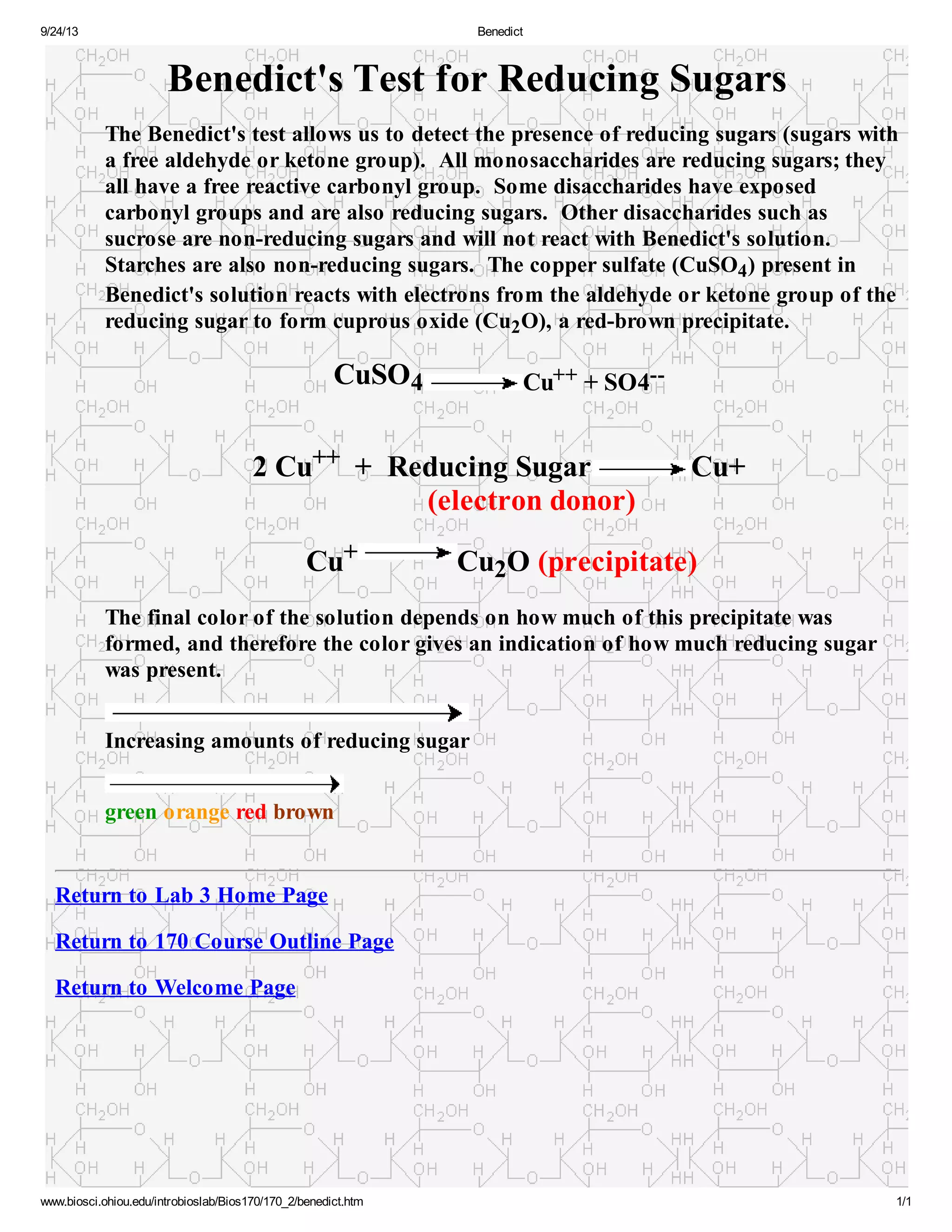 9/24/13 Benedict 
Benedict's Test for Reducing Sugars 
The Benedict's test allows us to detect the presence of reducing sugars (sugars with 
a free aldehyde or ketone group). All monosaccharides are reducing sugars; they 
all have a free reactive carbonyl group. Some disaccharides have exposed 
carbonyl groups and are also reducing sugars. Other disaccharides such as 
sucrose are non-reducing sugars and will not react with Benedict's solution. 
Starches are also non-reducing sugars. The copper sulfate (CuSO4) present in 
Benedict's solution reacts with electrons from the aldehyde or ketone group of the 
reducing sugar to form cuprous oxide (Cu2O), a red-brown precipitate. 
CuSO4 Cu++ + SO4-- 
2 Cu++ + Reducing Sugar Cu+ 
(electron donor) 
Cu+ Cu2O (precipitate) 
The final color of the solution depends on how much of this precipitate was 
formed, and therefore the color gives an indication of how much reducing sugar 
was present. 
Increasing amounts of reducing sugar 
green orange red brown 
Return to Lab 3 Home Page 
Return to 170 Course Outline Page 
Return to Welcome Page 
www.biosci.ohiou.edu/introbioslab/Bios170/170_2/benedict.htm 1/1 
 
