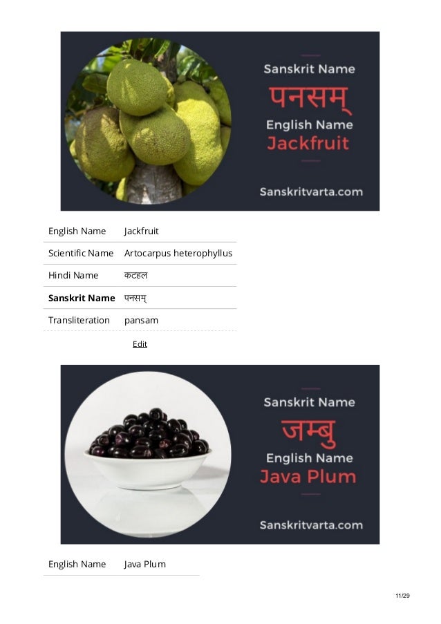 List Of Fruits Name In Sanskrit Hindi And English With Pictures