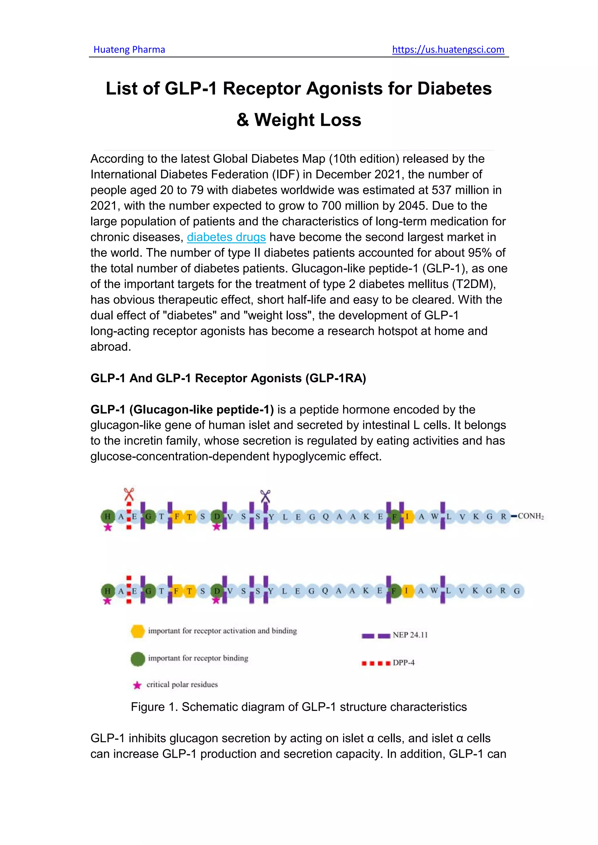List of GLP-1 Receptor Agonists for Diabetes & Weight Loss.pdf