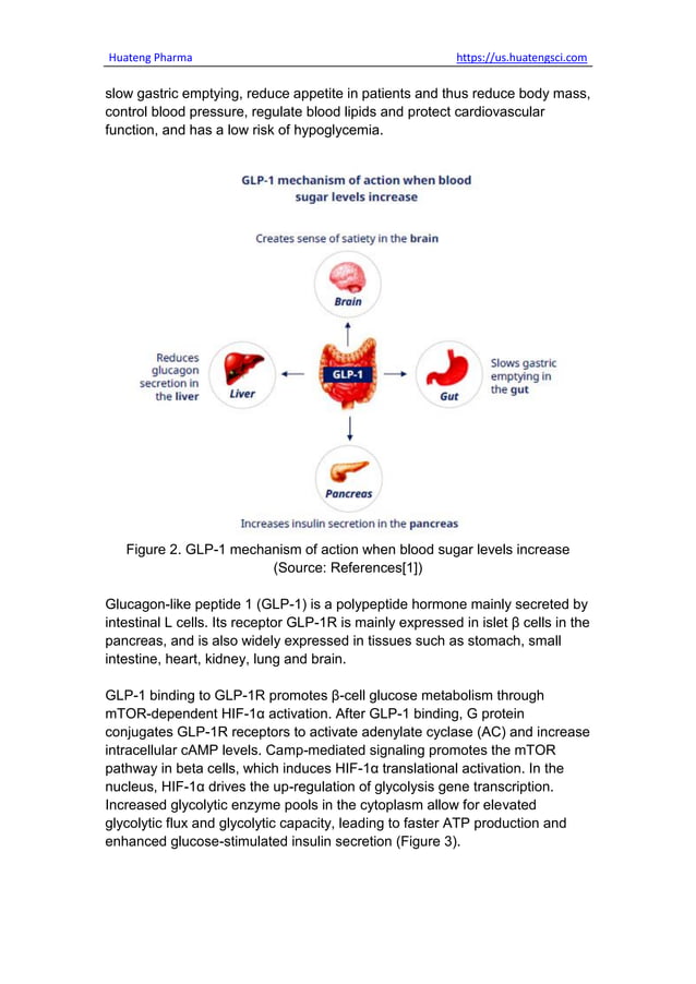Image showcasing List of GLP-1 Receptor Agonists for Diabetes & Weight Loss.pdf