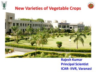 New Varieties of Vegetable Crops
Rajesh Kumar
Principal Scientist
ICAR- IIVR, Varanasi
 