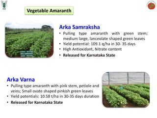 Sami Raksa list of new varieity of vegetaple crops.pdf