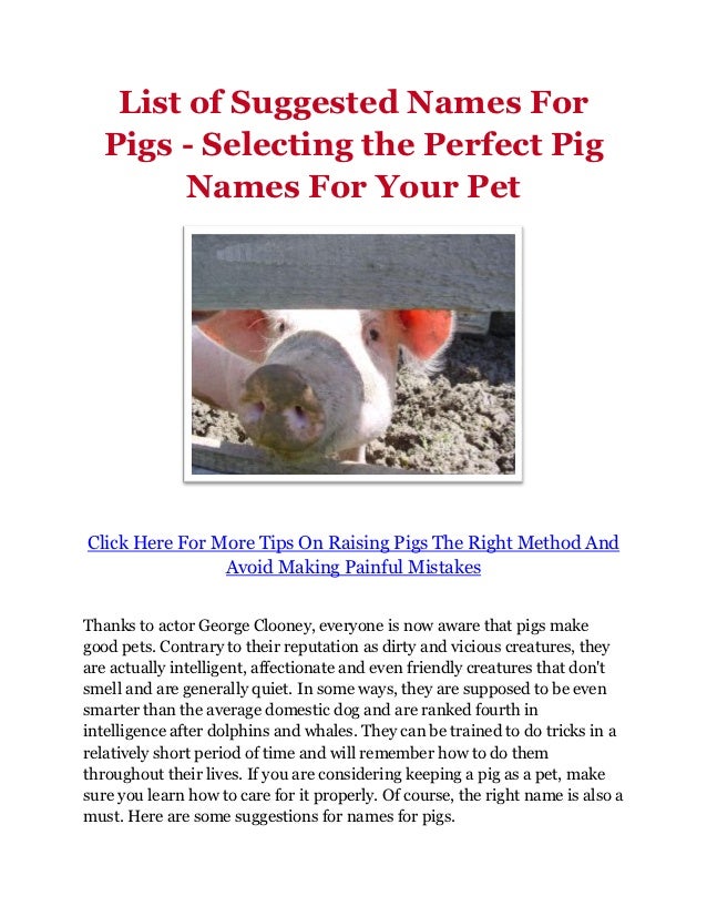 list of suggested names for pigs selecting the perfect list of suggested names for pigs selecting the perfect