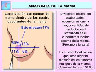 ANATOMÍA DE LA MAMA

Localización del cáncer de    Dividiendo el seno en
mama dentro de los cuatro         cuatro partes,
 cuadrantes de la mama         observamos que la
                                mayor cantidad de
         Bajo el pezón 17%
                                 conductos está
                                 localizada en el
                               cuadrante superior
                              externo de la mama.
                               (Próximo a la axila)

                             Es en esta localización
                               que tiene lugar la
                             mayoría de los tumores
                             malignos de la mama.
                             (Aproximádamente 50%)
 