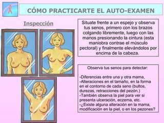 Situate frente a un espejo y observa tus senos, primero con los brazos colgando libremente, luego con las manos presionando la cintura (esta maniobra contrae el músculo pectoral) y finalmente elevándolos por encima de la cabeza.  Observa tus senos para detectar:  Diferencias entre una y otra mama, Alteraciones en el tamaño, en la forma  en el contorno de cada seno (bultos, durezas, retracciones del pezón.) También observa la piel para ver si presenta ulceración, eczema, etc.  ¿Existe alguna alteración en la mama, modificación en la piel, o en los pezones? CÓMO PRACTICARTE EL AUTO-EXAMEN Inspección 