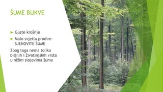 ŠUME BUKVE
 Guste krošnje
 Malo svjetla prodire-
SJENOVITE ŠUME
Zbog toga nema toliko
biljnih i životinjskih vrsta
u nižim slojevima šume
 