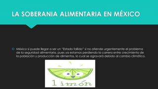 LA SOBERANIA ALIMENTARIA EN MÉXICO
 México sí puede llegar a ser un “Estado fallido” si no atiende urgentemente el problema
de la seguridad alimentaria, pues ya estamos perdiendo la carrera entre crecimiento de
la población y producción de alimentos, lo cual se agravará debido al cambio climático.
 