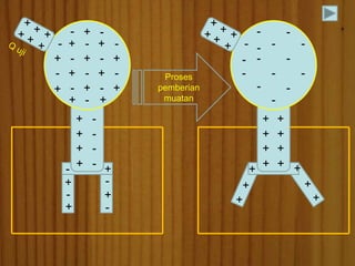 - - 
+ + 
+ 
+ 
+ 
- 
- 
+ 
- 
+ 
- 
+ - - + 
- 
- 
- 
+ - 
+ 
+ 
- + 
+ - 
+ - 
+ - 
- + - + 
+ 
- 
+ 
- 
+ 
- 
- - 
- - 
- 
- 
- - 
- 
- 
- 
- - 
- 
- 
+ + 
+ + 
+ + 
+ + 
+ 
+ 
+ 
+ + 
+ 
Proses 
pemberian 
muatan 
 