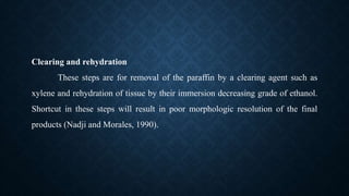 Clearing and rehydration
These steps are for removal of the paraffin by a clearing agent such as
xylene and rehydration of tissue by their immersion decreasing grade of ethanol.
Shortcut in these steps will result in poor morphologic resolution of the final
products (Nadji and Morales, 1990).
 
