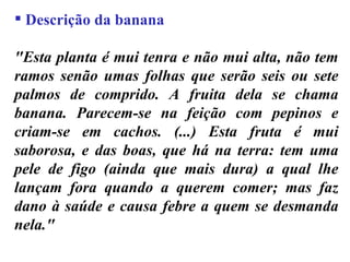Descrição da banana "Esta planta é mui tenra e não mui alta, não tem ramos senão umas folhas que serão seis ou sete palmos de comprido. A fruita dela se chama banana. Parecem-se na feição com pepinos e criam-se em cachos. (...) Esta fruta é mui saborosa, e das boas, que há na terra: tem uma pele de figo (ainda que mais dura) a qual lhe lançam fora quando a querem comer; mas faz dano à saúde e causa febre a quem se desmanda nela." 