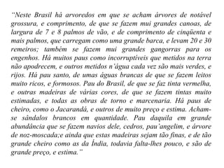 “ Neste Brasil há arvoredos em que se acham árvores de notável grossura, e comprimento, de que se fazem mui grandes canoas, de largura de 7 e 8 palmos de vão, e de comprimento de cinqüenta e mais palmos, que carregam como uma grande barca, e levam 20 e 30 remeiros; também se fazem mui grandes gangorras para os engenhos. Há muitos paus como incorruptíveis que metidos na terra não apodrecem, e outros metidos n’água cada vez são mais verdes, e rijos. Há pau santo, de umas águas brancas de que se fazem leitos muito ricos, e formosos. Pau do Brasil, de que se faz tinta vermelha, e outras madeiras de várias cores, de que se fazem tintas muito estimadas, e todas as obras de torno e marcenaria. Há paus de cheiro, como o Jacarandá, e outros de muito preço e estima. Acham-se sândalos brancos em quantidade. Pau daquila em grande abundância que se fazem navios dele, cedros, pau’angelim, e árvore de noz-moscada;e ainda que estas madeiras sejam tão finas, e de tão grande cheiro como as da Índia, todavia falta-lhes pouco, e são de grande preço, e estima.” 
