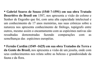 Gabriel Soares de Souza (1540 ?-1591) em sua obra Tratado Descritivo do Brasil em  1587, nos apresenta a visão do colono e Senhor de Engenho que foi, com uma alta capacidade intelectual e um conhecimento de 17 anos memórias, nas suas crônicas sobre a natureza nos apresenta conhecimento de fitólogo, topógrafo entre outros, mesmo assim o encantamento com as espécimes nativas são ressaltadas demonstradas fazendo comparações com as semelhanças das  espécimes européias.  Fernão Cardim (1549 -1625) em sua obra Tratados da Terra e da Gente do Brasil,  nos   apresenta a visão de um jesuíta, onde com seus conhecimentos nos relata sobre as belezas e grandiosidade da fauna e da flora. 