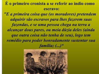 É o primeiro cronista a se referir ao índio como
                       escravo:
"E a primeira coisa que (os moradores) pretendem
    adquirir são escravos para lhes fazerem suas
     fazendas, e se uma pessoa chega na terra a
  alcançar dous pares, ou meia dúzia deles (ainda
     que outra coisa não tenha de seu), logo tem
  remédio para poder honradamente sustentar sua
                     família; (...)“
 