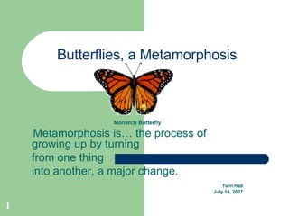 Butterflies, a Metamorphosis Monarch Butterfly Metamorphosis is… the process of growing up by turning from one thing into another, a major change. Terri Hall July 14, 2007 