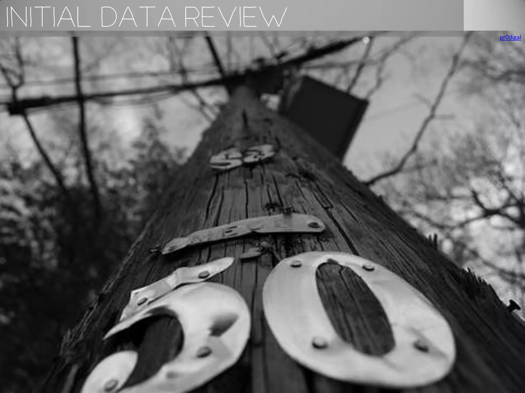 Initial Data Review   pr0digal
 