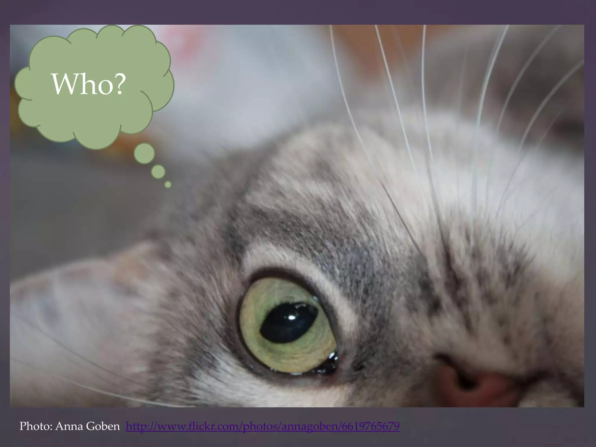 Who?




Photo: Anna Goben http://www.flickr.com/photos/annagoben/6619765679
 