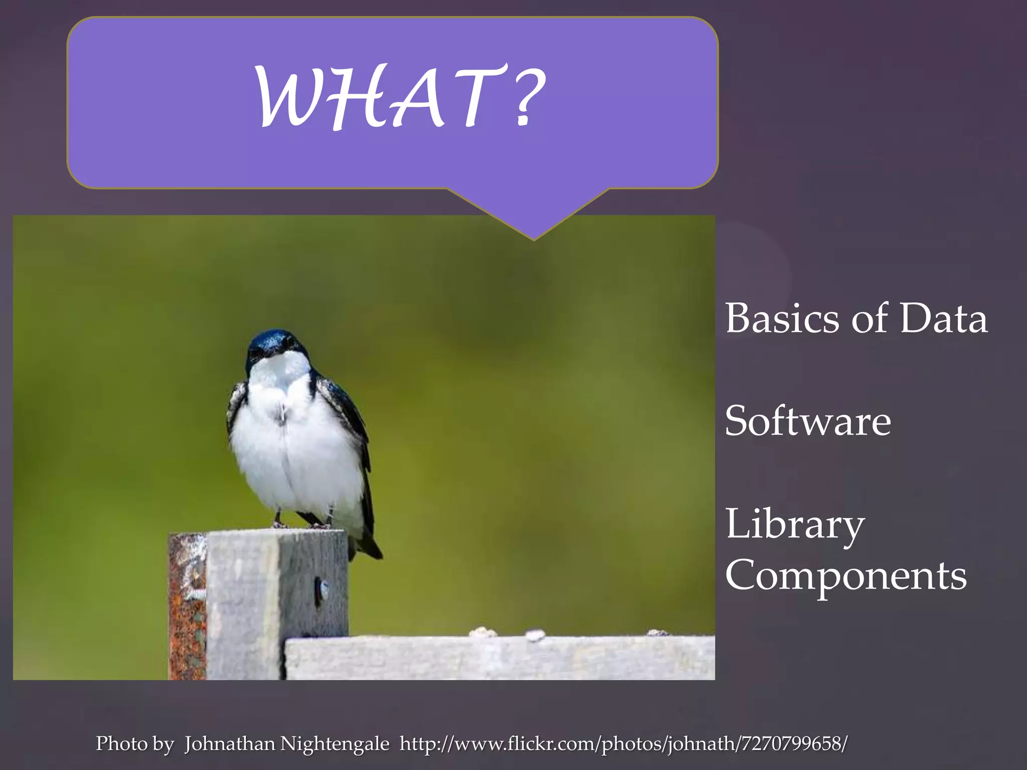WHAT?

                                                                  Basics of Data

                                                                  Software

                                                                  Library
                                                                  Components


Photo by Johnathan Nightengale http://www.flickr.com/photos/johnath/7270799658/
 