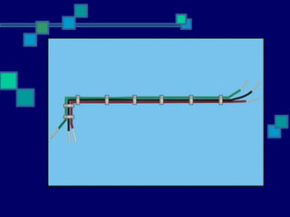 LITAR JEJARI (RADIAL)