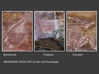Barramundi Thylacine Evil spirit
ABORIGINAL ROCK ART at Ubirr and Nourlangie.
 