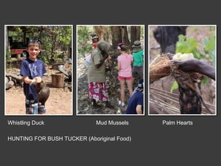 Whistling Duck Mud Mussels Palm Hearts
HUNTING FOR BUSH TUCKER (Aboriginal Food)
 