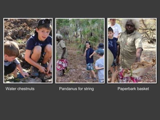 Water chestnuts Pandanus for string Paperbark basket
 