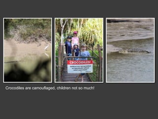 Crocodiles are camouflaged, children not so much!
 
