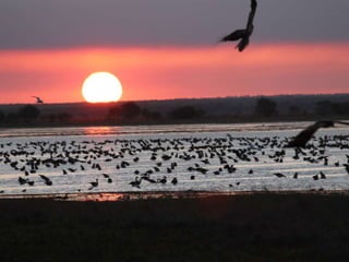 Litchfield and Kakadu Trip