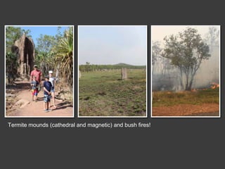 Termite mounds (cathedral and magnetic) and bush fires!
 