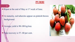 PURBI
Ripen at the end of May or 1st week of June.
At maturity, red tubercles appear on pinkish brown
background.
Average yield is 90-100 kg/tree.
Pulp recovery is 57- 60 per cent.
25-10-2016
18
 