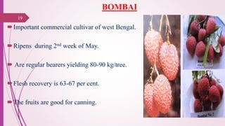 BOMBAI
Important commercial cultivar of west Bengal.
Ripens during 2nd week of May.
 Are regular bearers yielding 80-90 kg/tree.
Flesh recovery is 63-67 per cent.
The fruits are good for canning.
25-10-2016
19
 