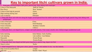 Key to important litchi cultivars grown in India.
25-10-2016
21
1. Flush pink, leaf boat-shaped, dark green, panicle long, fruits oblong with round apex
Colour of fruit deep pink Shahi & Tirkolia
Rose flavor Rose Scented
Colour of fruit light & greenish Green
High cracking and big seed Ajhauli
Late in maturity Dehradun
2. Deep pink flush, leaf with twist along the length, curved upward from the midrib and down along their length, panicle long, fruit oblong with
pointed apex
Color of fruit pink China
Fruits deep pink Purbi/Mandraji
Fruits in bunches Bombaia/ Calcuttia
Early maturity CHES-2
3. Dark pink flush, oval shaped leaves, compact and small panicles, Fruit round, smooth, more chicken tongue seed(aborted seed)
Early maturing Early Bedana / Early Seedless
Late maturing Late seedless / Late Bedana
Deep pink Swarna Roopa
Mid season maturity Swarna Roopa
4. Deep pink flush, boat-shaped and dark green long leaves, panicle long, largest size fruit
Deep in colour Kasba
5. Small elongated leaves, light green colour, panicle compact, fruit medium in size, very late maturity
Pulp sweet & excellent flavor Longia
Pulp sour Kaselia / Katti / Piyazi
 