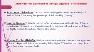 Litchi cultivars developed or through selection hybridization
Saharanpur Selection- This is a chance seedling selection & late maturing (3rd
week of June). It has a very low percentage of fruit cracking (2% only).
Swarna Roopa- This is the outcome of the selection made at Ranchi from different
collections of litchi cultivars. It has attractive deep pink fruit colour & small seed. Fruits
are highly resistant to cracking. Matures after China.
Sabour Madhu (H-105)- This hybrid resulted from Purbi×Bedana. It has higher no.
of fruits (24) per panicle & is late maturing. It has higher TSS and aril percentage than
Purbi. Fruit shape resembles Purbi.
25-10-2016
23
 