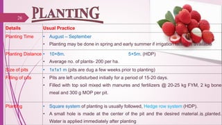 Details Usual Practice
Planting Time • August – September
• Planting may be done in spring and early summer if irrigation facility is available
Planting Distance • 10×8m. 5×5m. (HDP)
• Average no. of plants- 200 per ha.
Size of pits • 1x1x1 m (pits are dug a few weeks prior to planting)
Filling of pits • Pits are left undisturbed initially for a period of 15-20 days.
• Filled with top soil mixed with manures and fertilizers @ 20-25 kg FYM, 2 kg bone
meal and 300 g MOP per pit.
Planting • Square system of planting is usually followed, Hedge row system (HDP).
• A small hole is made at the center of the pit and the desired material is planted.
Water is applied immediately after planting
26
25-10-2016
 