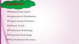 Contents:
Botanical description.
Importance & Distribution.
Export oriented Varieties.
Climate & Soil.
Production Technology.
Protection Technology.
Post Production Processes. 25-10-2016
3
 
