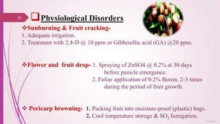 Physiological Disorders
Sunburning & Fruit cracking-
1. Adequate irrigation.
2. Treatment with 2,4-D @ 10 ppm or Gibberellic acid (GA) @20 ppm.
Flower and fruit drop- 1. Spraying of ZnSO4 @ 0.2% at 30 days
before panicle emergence.
2. Foliar application of 0.2% Boron, 2-3 times
during the period of fruit growth.
 Pericarp browning- 1. Packing fruit into moisture-proof (plastic) bags.
2. Cool temperature storage & SO2 fumigation.
31
25-10-2016
 