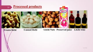 Processed products
25-10-2016
35
Frozen litchi Canned litchi Litchi Nuts Preserved juice Litchi wine
 
