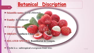 Botanical Discription
4
25-10-2016
 