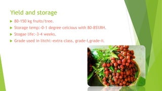 Yield and storage
 80-150 kg fruits/tree.
 Storage temp:-0-1 degree celcious with 80-85%RH.
 Stogae life:-3-4 weeks.
 Grade used in litchi:-extra class, grade-I,grade-ii.
 