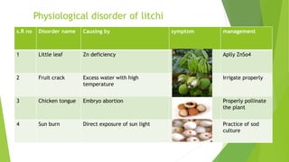 Physiological disorder of litchi
s.R no Disorder name Causing by symptom management
1 Little leaf Zn deficiency Aplly ZnSo4
2 Fruit crack Excess water with high
temperature
Irrigate properly
3 Chicken tongue Embryo abortion Properly pollinate
the plant
4 Sun burn Direct exposure of sun light Practice of sod
culture
 
