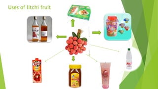 Uses of litchi fruit
 