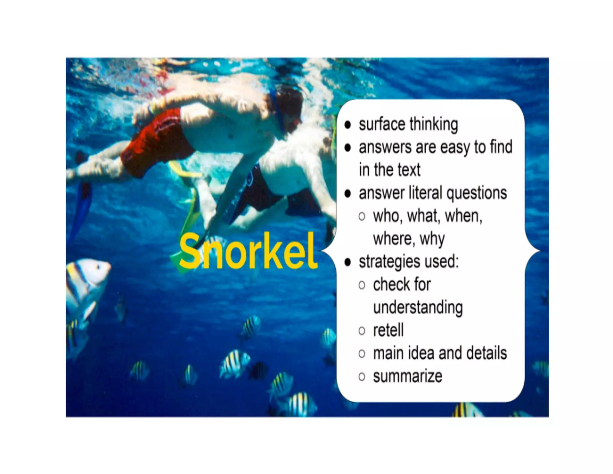 Lit Circles, Burnaby.2