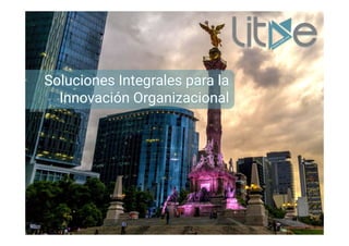 Soluciones Integrales para la
Innovación Organizacional
www.litde.mx
 